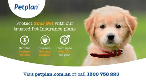contact pet plan